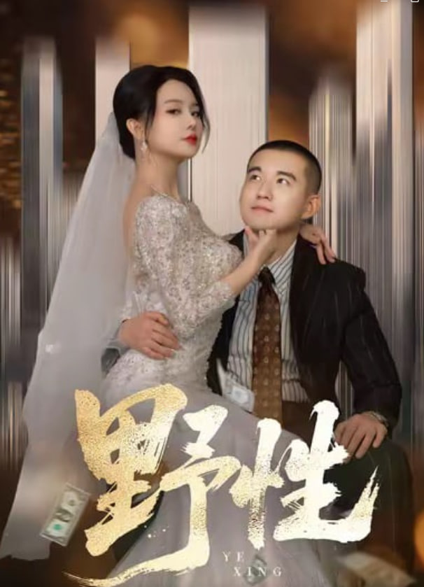 灰影人2